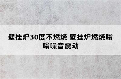 壁挂炉30度不燃烧 壁挂炉燃烧嗡嗡噪音震动